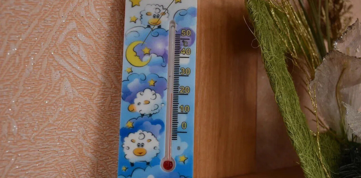    Фото: Официальный канал Главы ЛНР Леонида Пасечника в МАХ