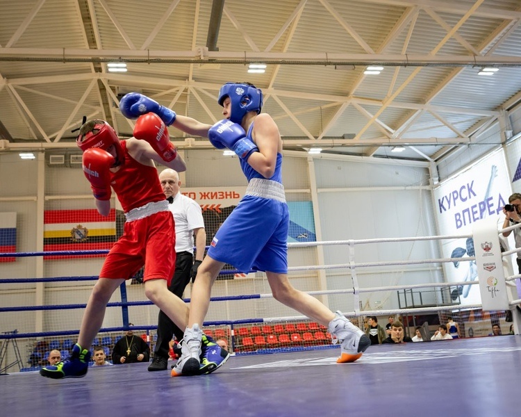     В Курской области стартовало первенство по боксу