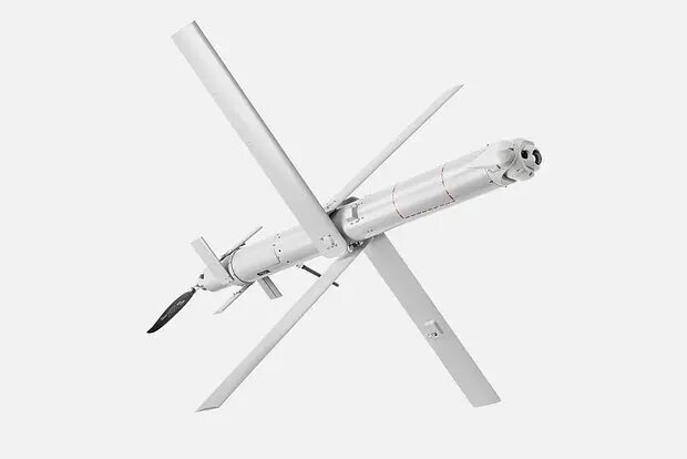    Фото: lenta.ru Евгений Иванов