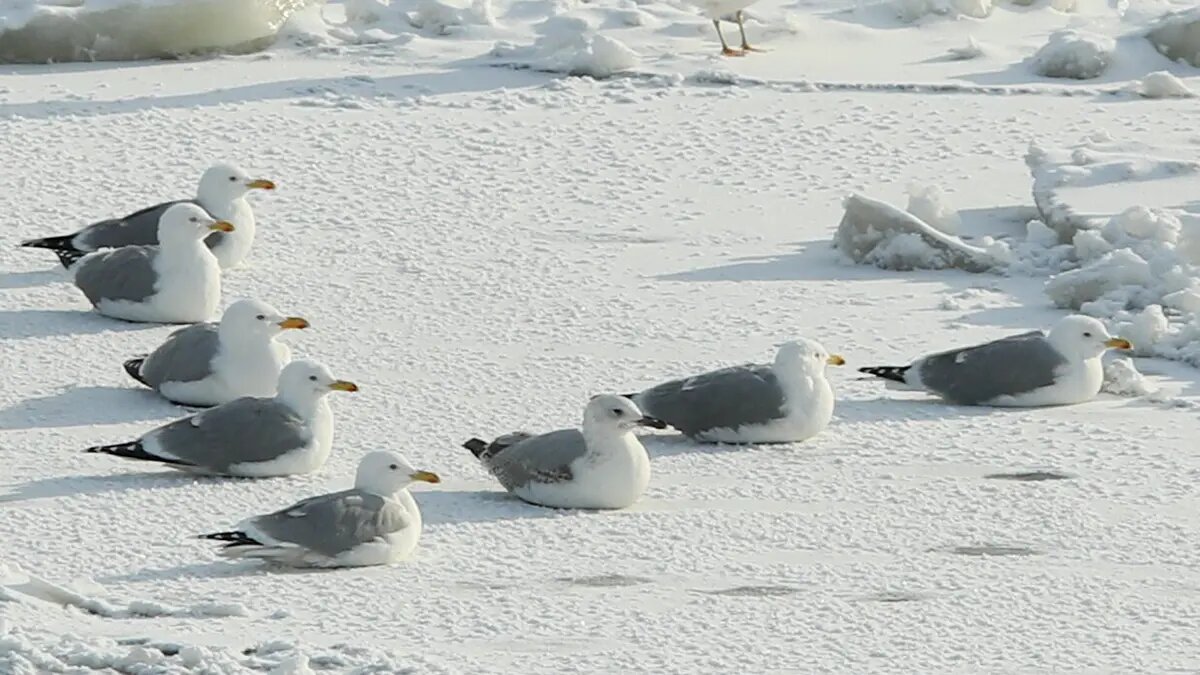    Фото: vm.ru Владимир Новиков