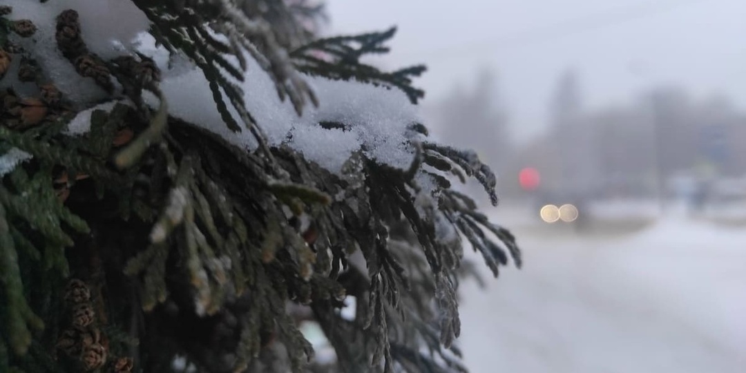 Пик морозов в Твери пройден, но потепление не обещает быть долгосрочным