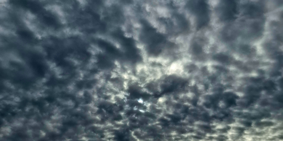 Глава 1601. Старайся , за все накажу