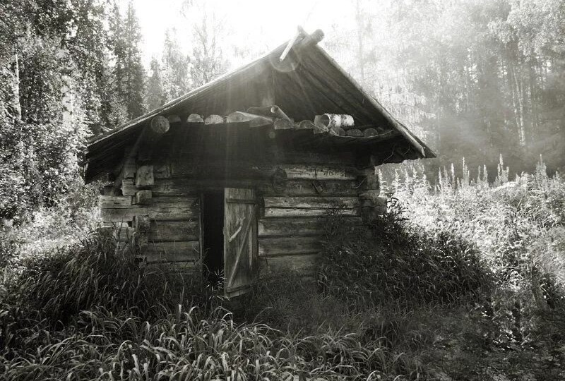 ЧУЖИЕ БЕРЕГА...