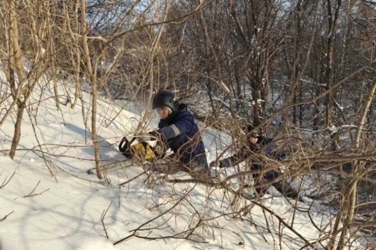    Косогор парка Дружбы народов чистят от поросли даже в мороз и снегопад