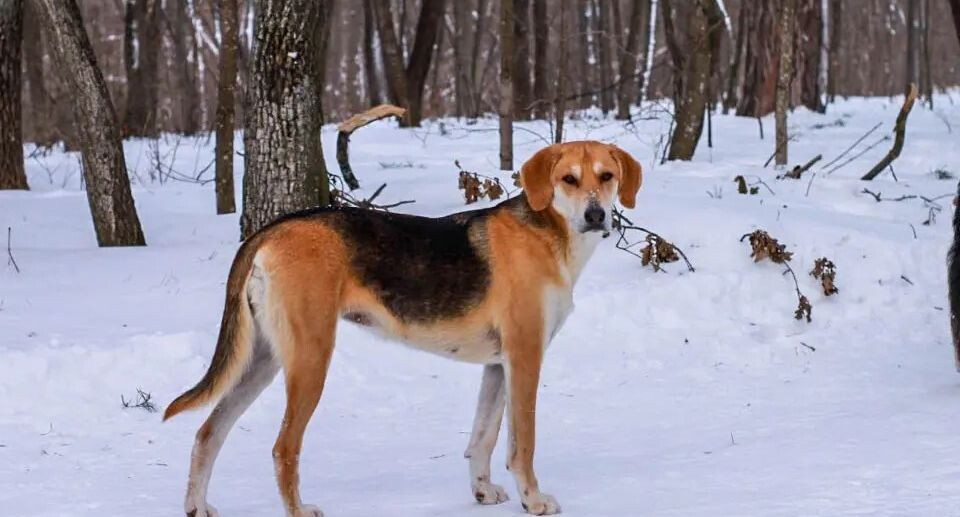    REGIONS/Роман Малышенко