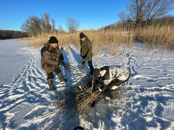 Фото: пресс-служба администрации Волгоградской области