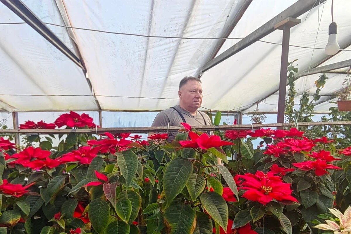    Фото пресс-службы администрации Краснодарского края