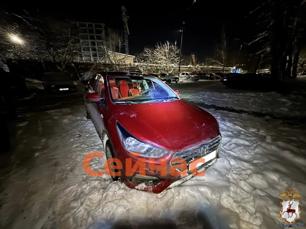    Фото: ГУ МВД России по Нижегородской области Редакция nn-now