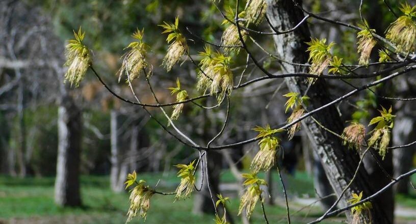    Snezka / Фотобанк Лори
