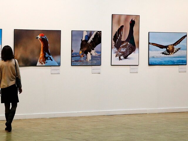    Фото: ТАСС/Антон Новодережкин