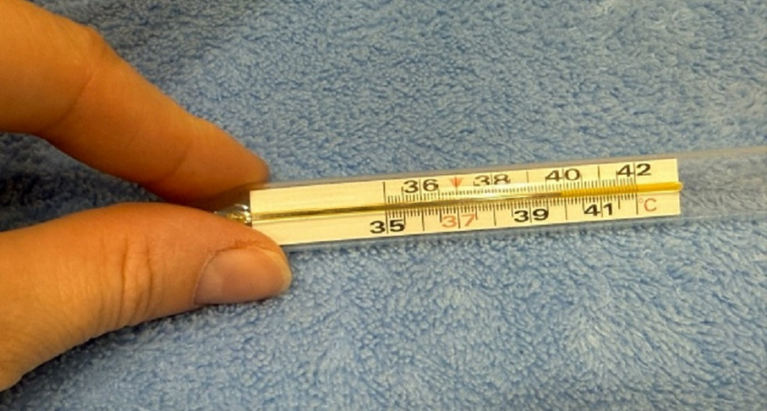    Фото: архив редакции "Pro Город"