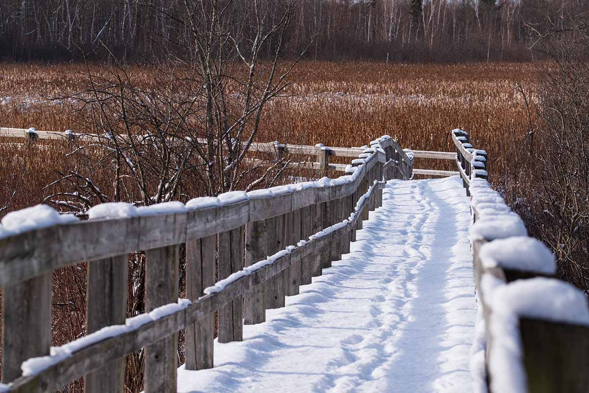 Народные приметы на погоду 6 февраля / stocksnap