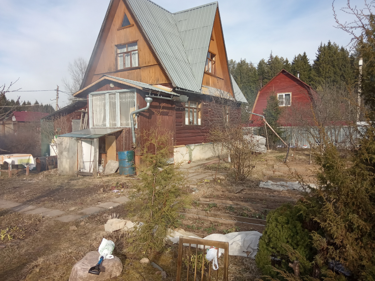 Первая весна