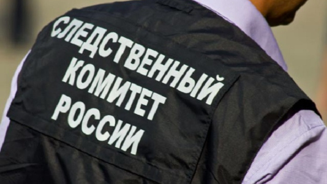 Фото: https://sledcom.ru/news/item/2051146/