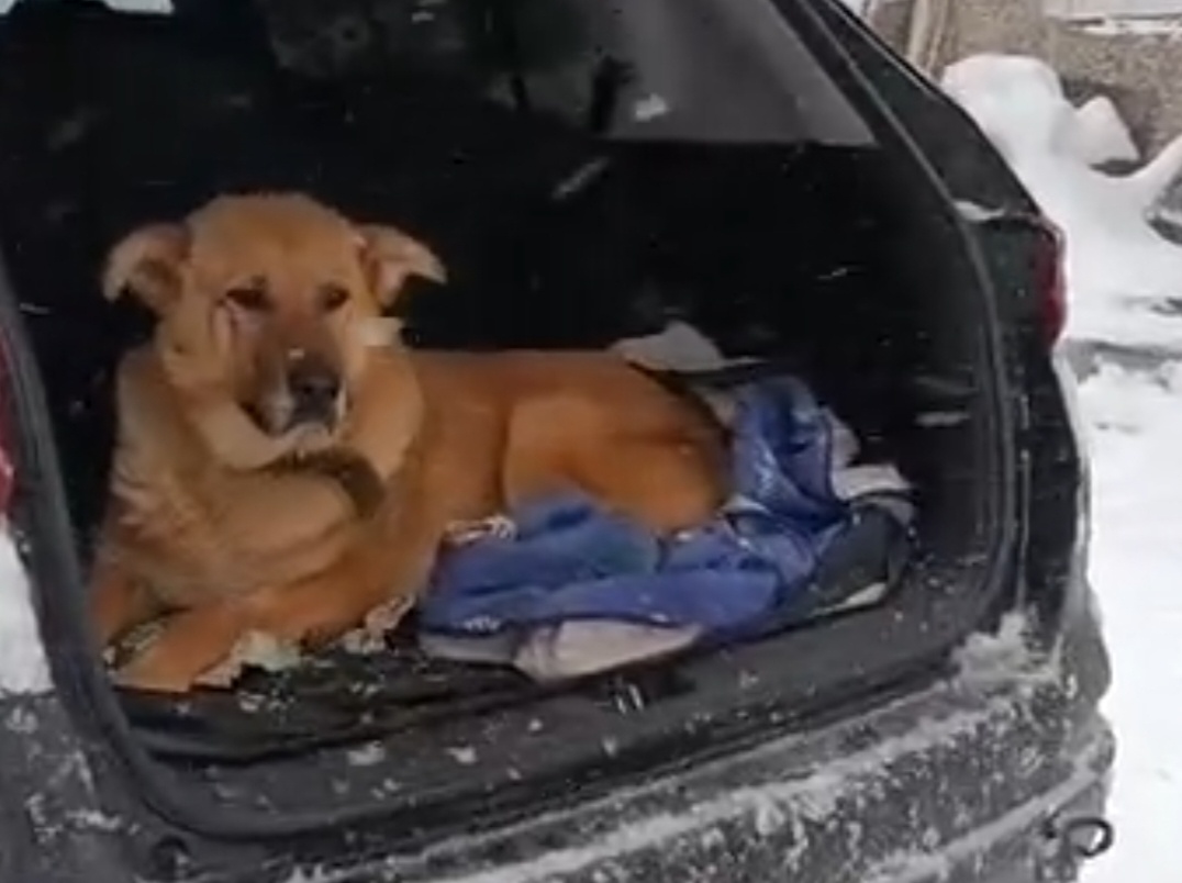 После дальней дороги 