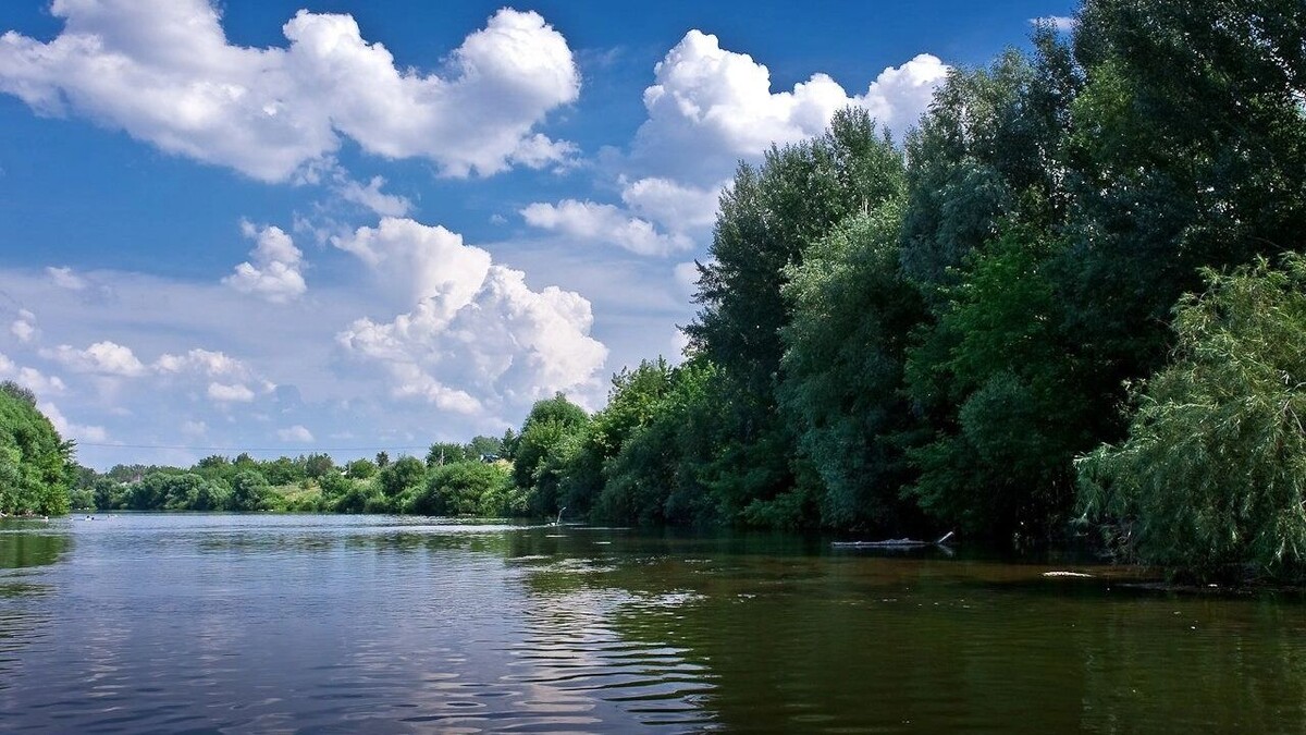    Право на использование акватории Дона выставили на торги в Ростовской области   Сергей С. / «Яндекс. Карты»