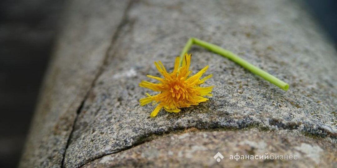 Тверским аграриям разъяснили новые правила обеззараживания