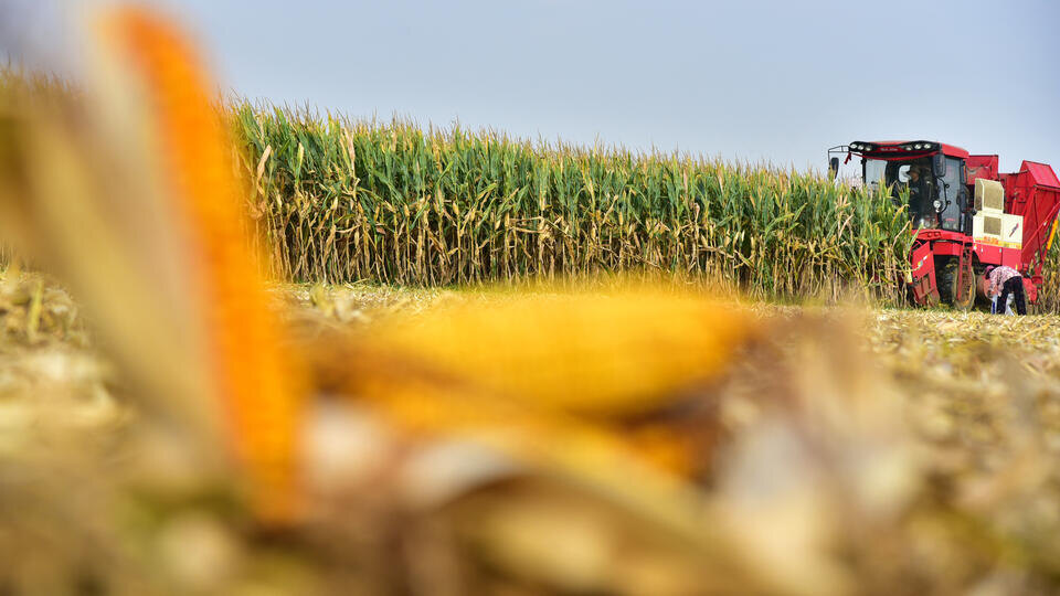 Фото: © www.globallookpress.com/Keystone Press Agency / РЕН ТВ