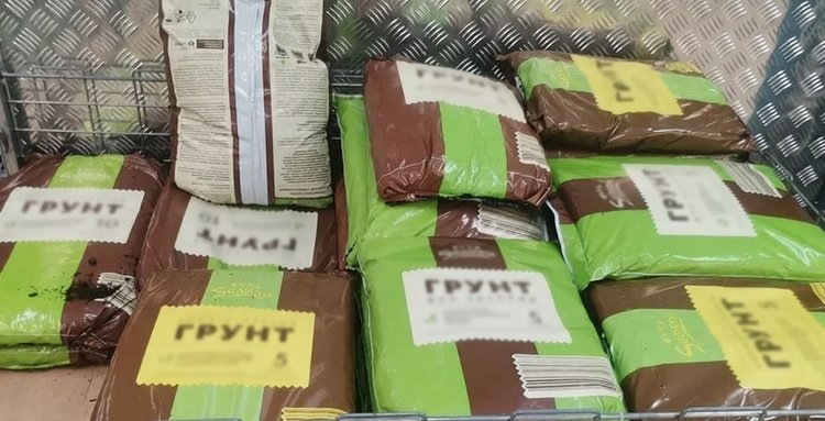    Фото: Лукьянов Дмитрий, AgroXXI.ru