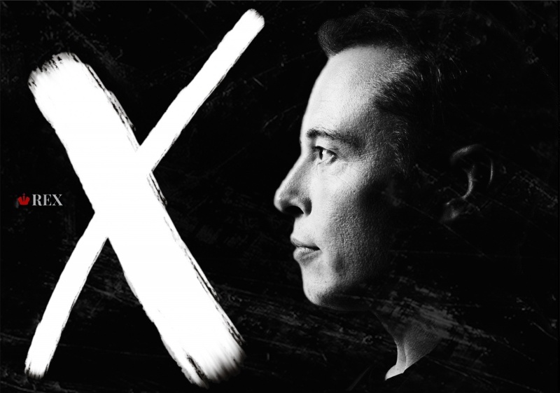    Иллюстрация: REX