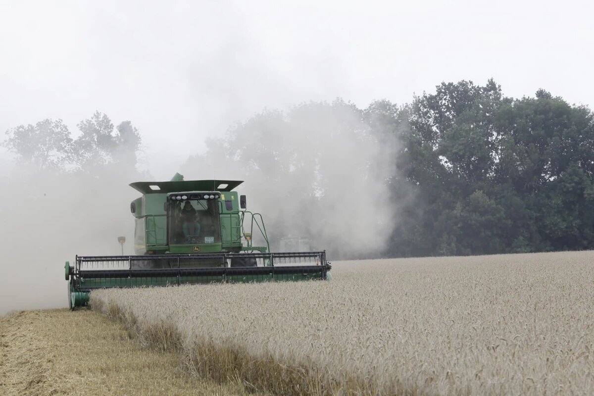    Фото пресс-службы администрации Краснодарского края