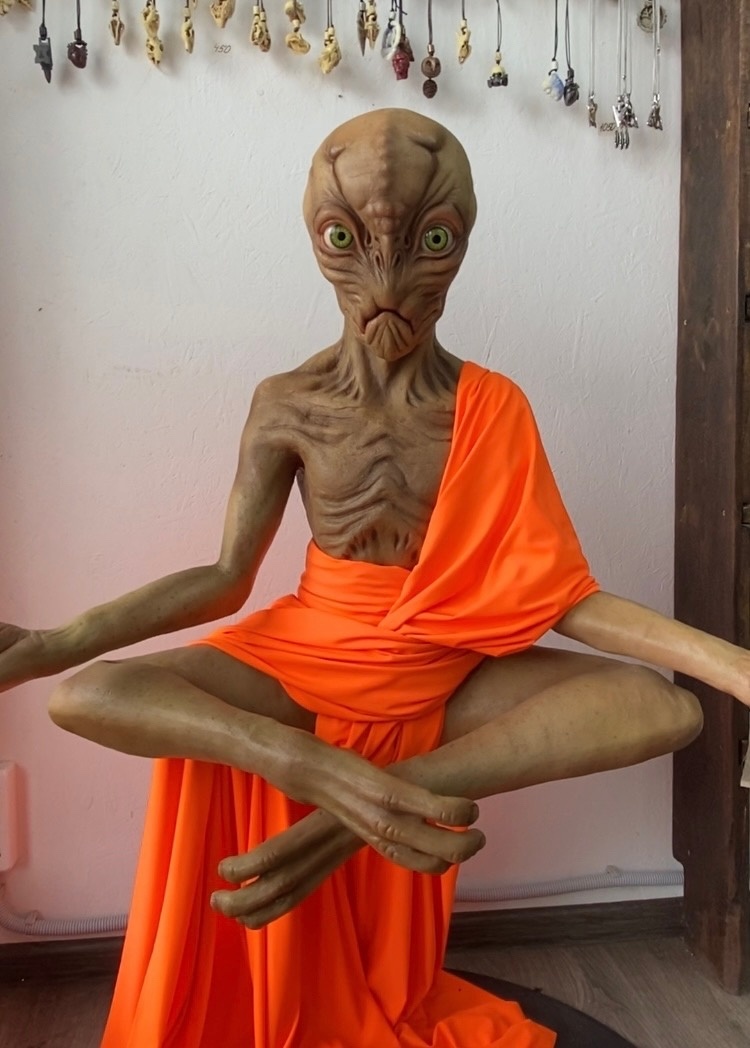 Ливитирующий гуманойд Гоша /фото автора/