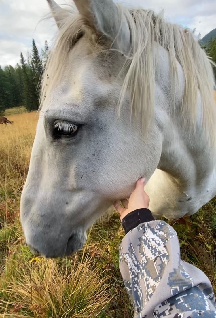 Ладный /фото автора/