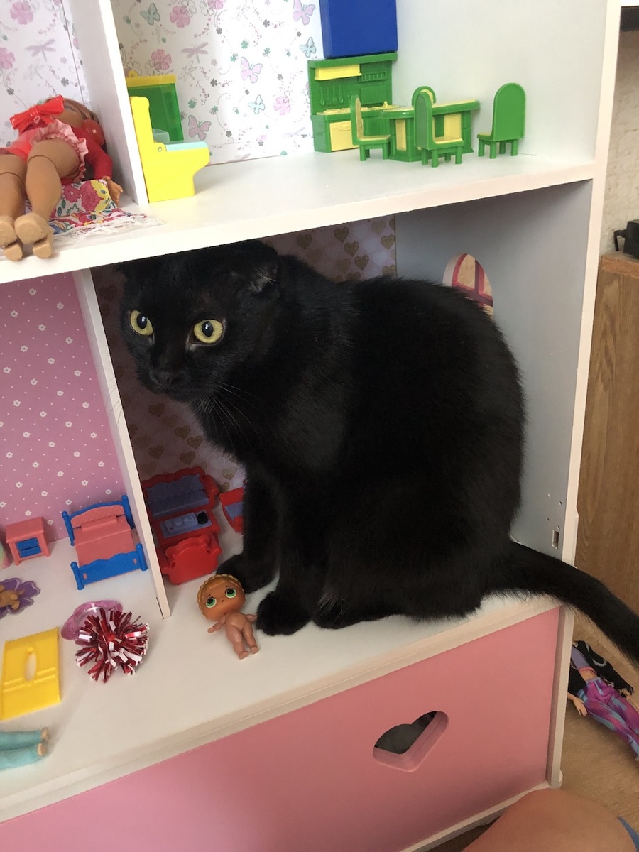 Стеша зашла в гости к куклам