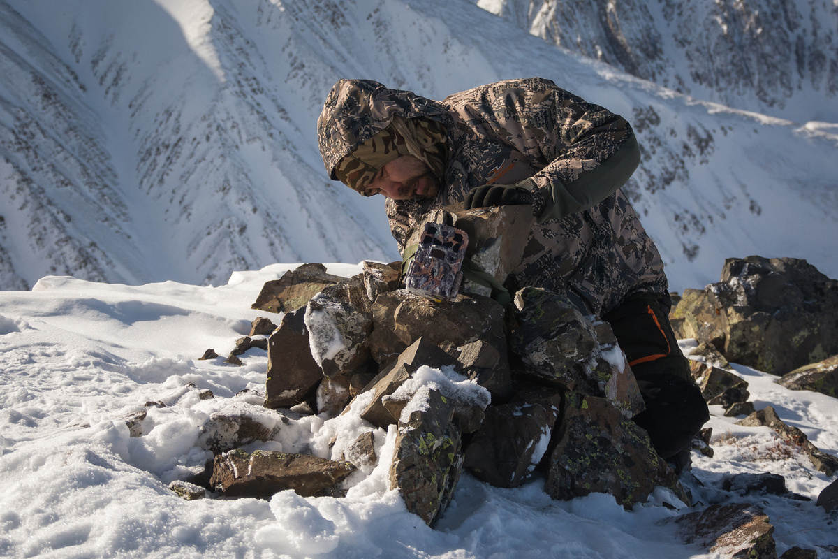 Специалист Сайлюгемского национального парка Алексей Кужлеков устанавливает фотоловушку на снежного барса в местах обитания ирбиса на Алтае. 