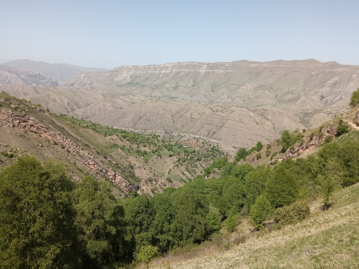 Источник: https://commons.wikimedia.org/wiki/File:Dagestan_-_2024-04-29_-_25.jpg