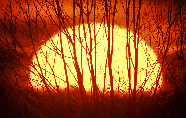 Владимир Смирнов/ТАСС