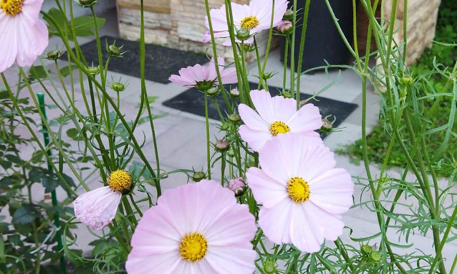 — По тесту ДНК сын твой, Рома. Но она ли его тебе родила? — Мама, а кто? — Я помню этот случай с Томой.