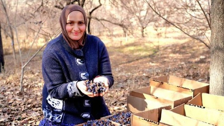    Фото: Минсельхозпрод Республики Дагестан