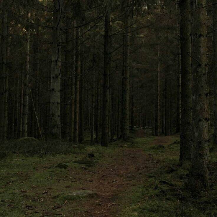 #романтика #ведение #кузнец #любовь #деревня #ревность