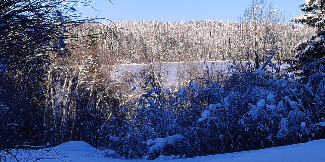 Доводы - выводы. По следам последних комментариев