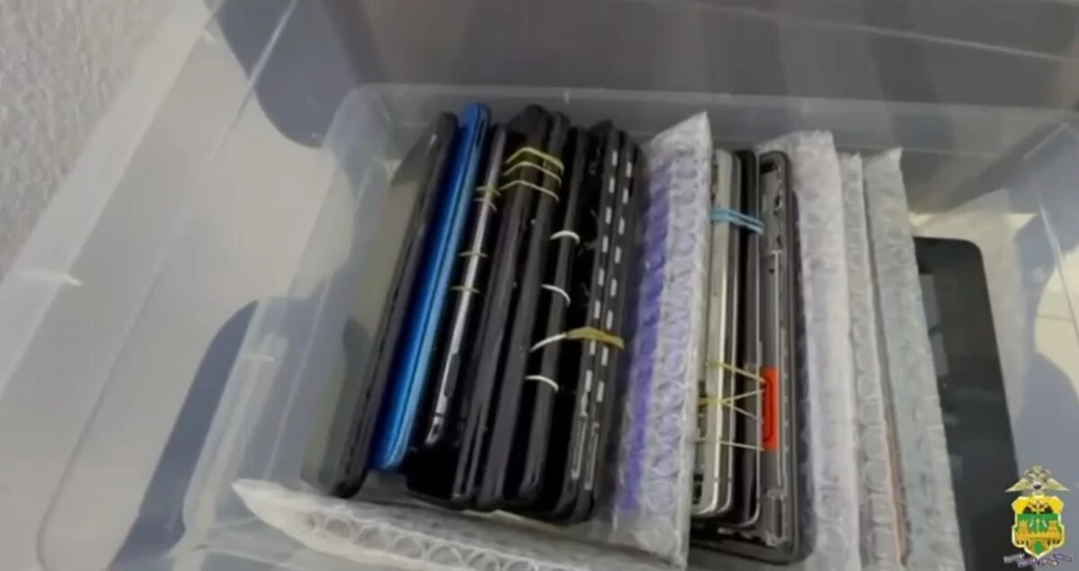    Фото t.me/police_sochi