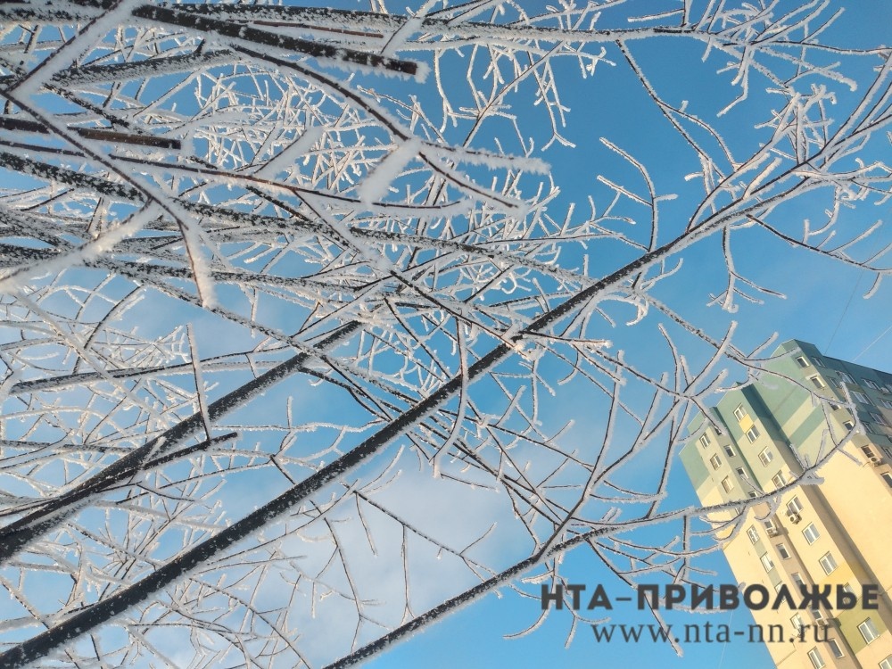    Морозы в Нижегородской области спадут уже к выходным.