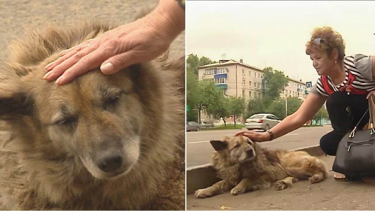 Фото с собакой