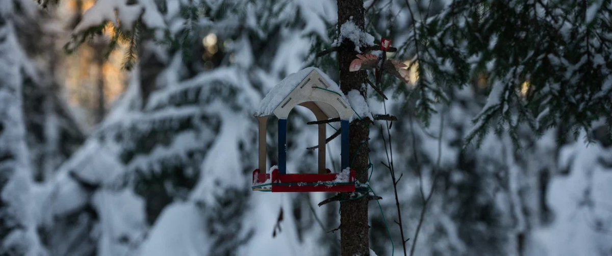    Ирина Яковлева