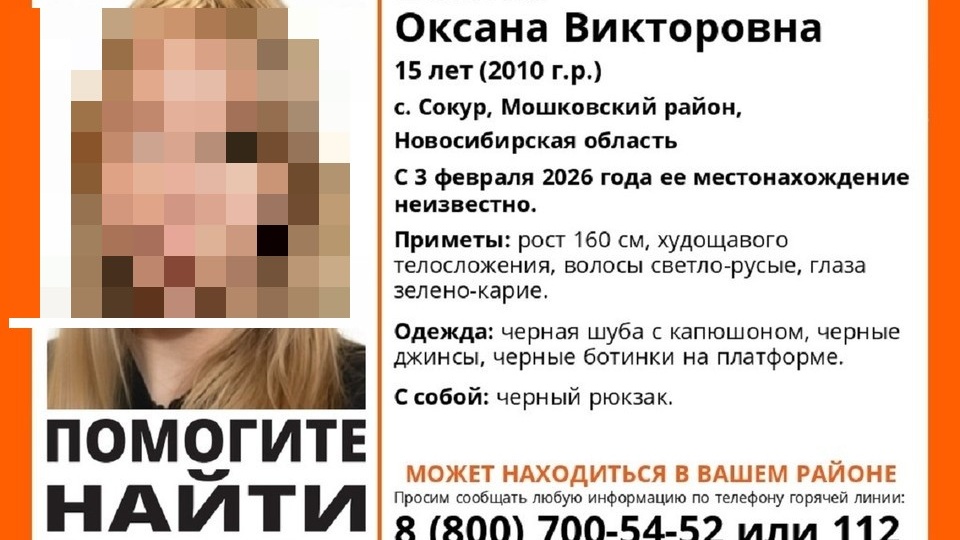 Под Новосибирском ищут пропавшую 3 февраля 15-летнюю школьницу