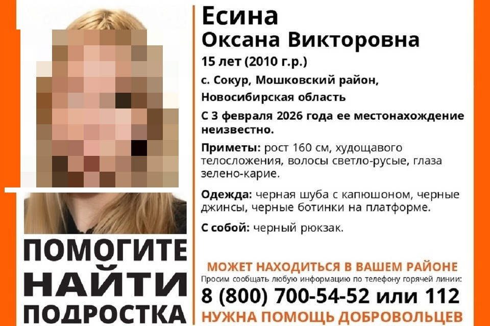    Оксана Есина пропала в селе Сокур. Фото: поисковый отряд «ЛизаАлерт» Новосибирской области