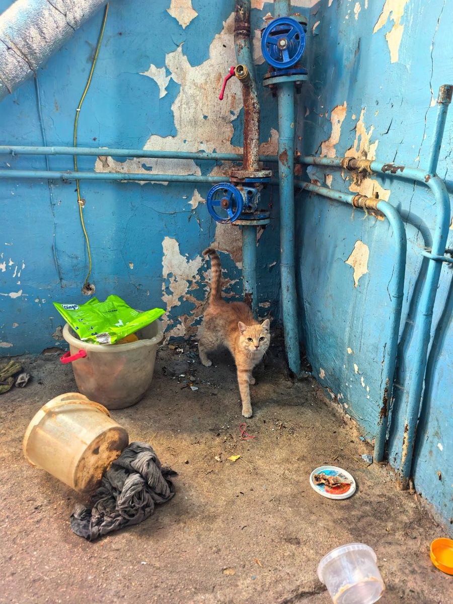 Без прикрас, как говорится. Фото из архива автора