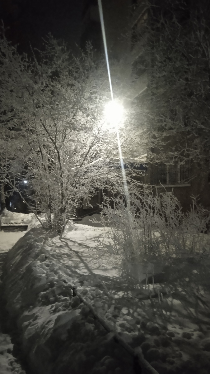 Это сегодня утром Чилл увидел такую красоту и не мог не поделиться. Все фото автора