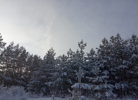 Фотография из личного архива автора