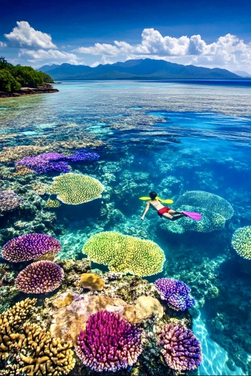 Большой барьерный риф