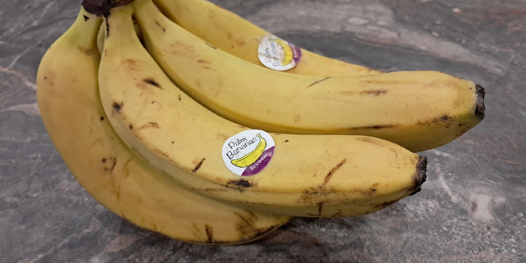 Это не объедки, это остатки: превращаем отходы в золото