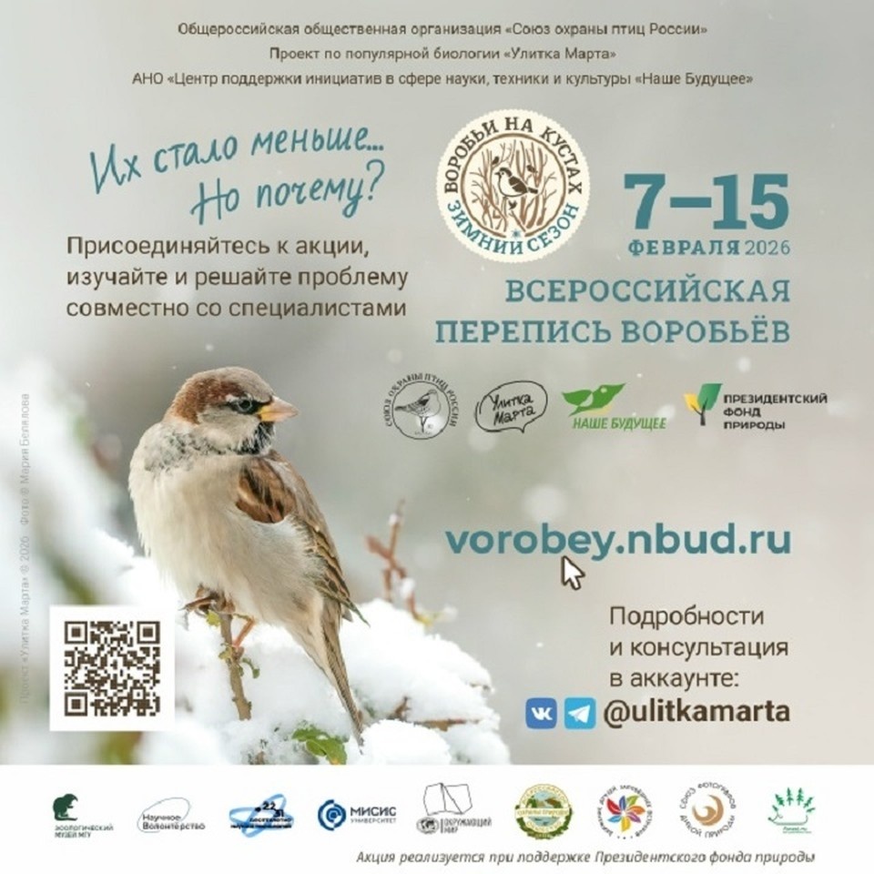    Полученная информация поможет ученым и птицам.