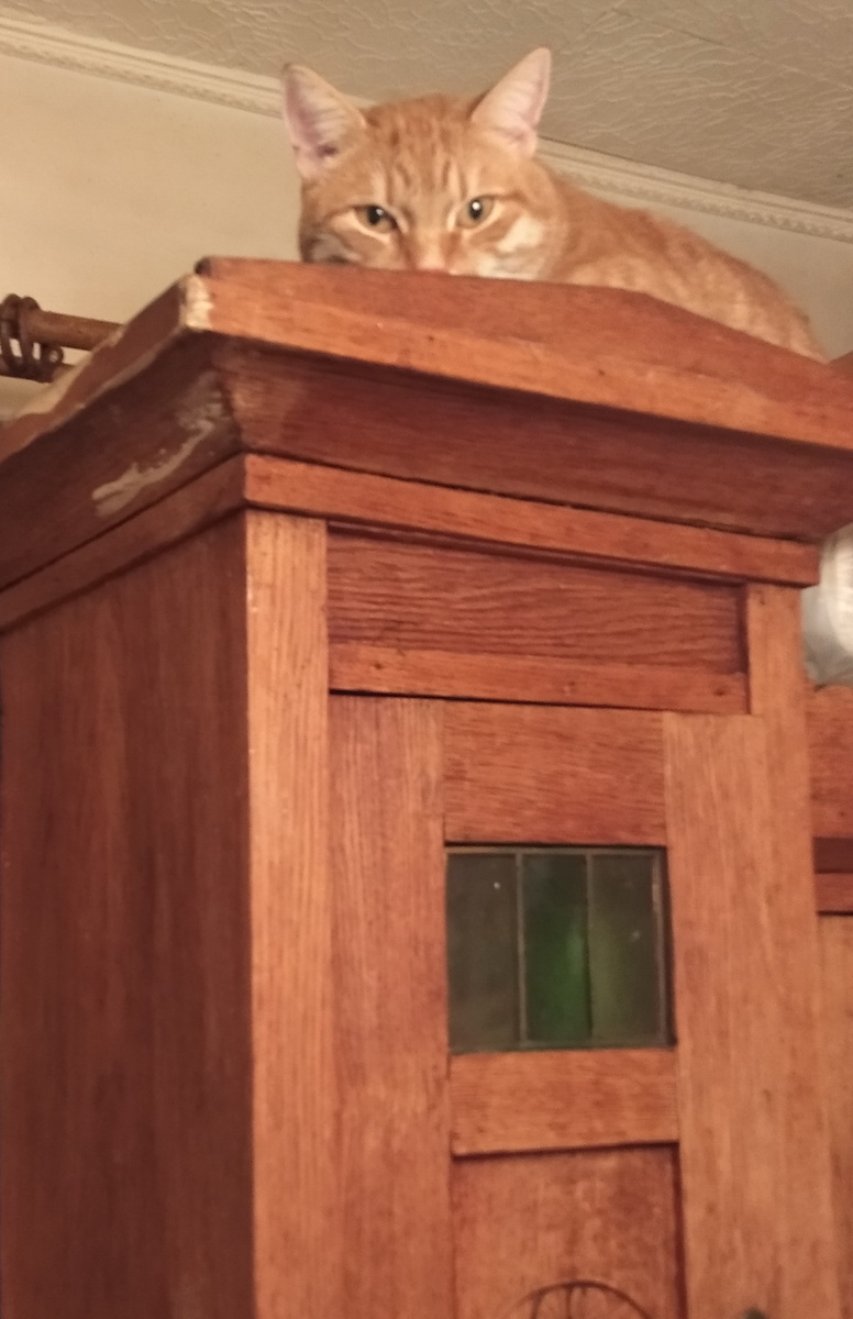 личное  фото