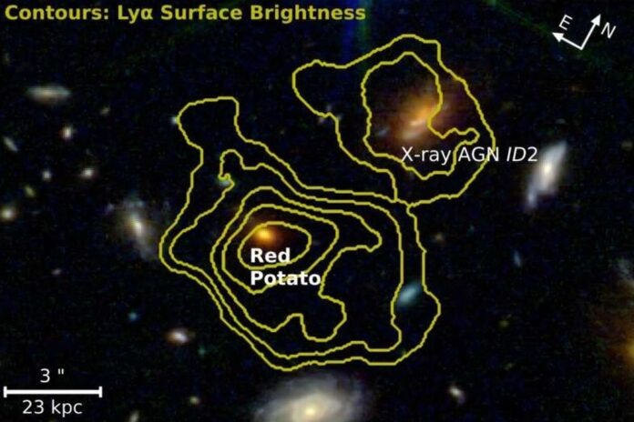    «Космическая Картошка»: Представление о Немезиде, гипотетической звезде-компаньоне Солнца, чье предполагаемое открытие в 2026 году может перевернуть наши представления о рождении звезд.