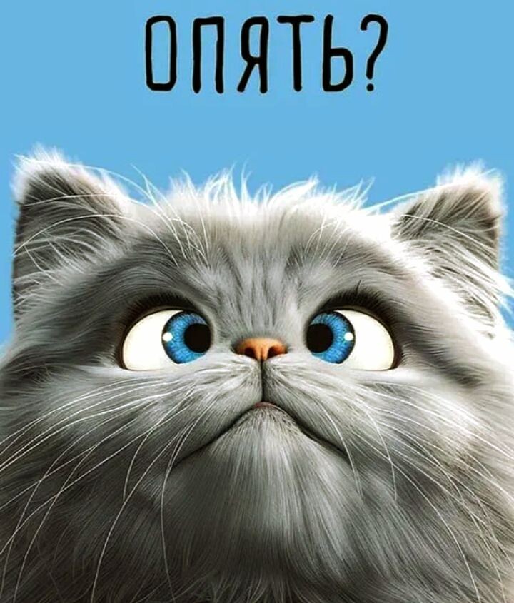 Фото из интернета 